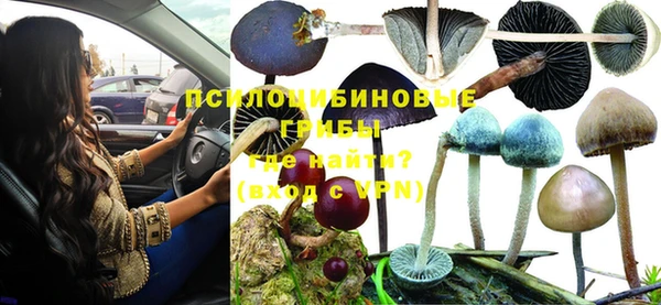 а пвп мука Бронницы