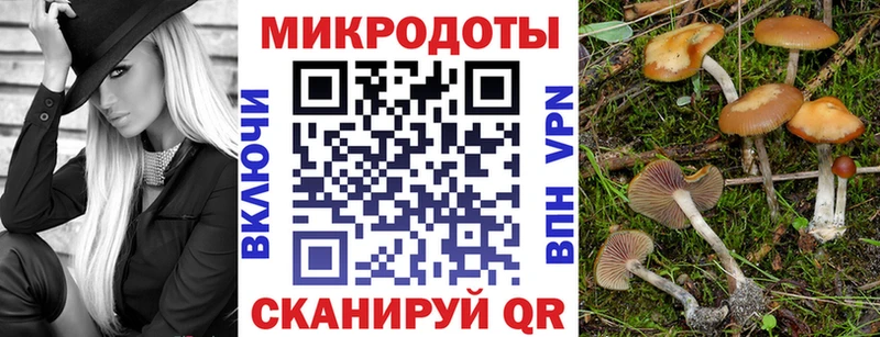 Галлюциногенные грибы ЛСД  Мариинский Посад 