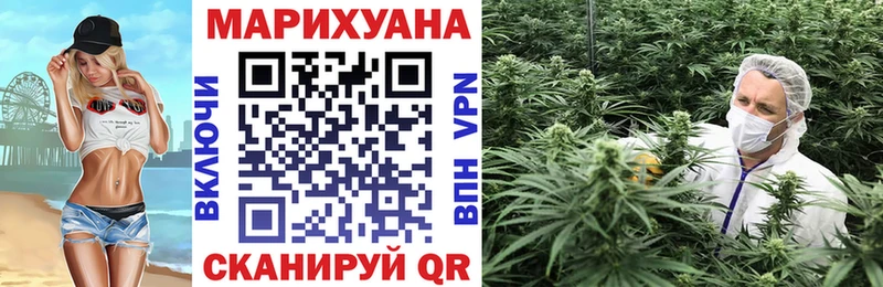 даркнет сайт  площадка какой сайт  Конопля сатива  Мариинский Посад 